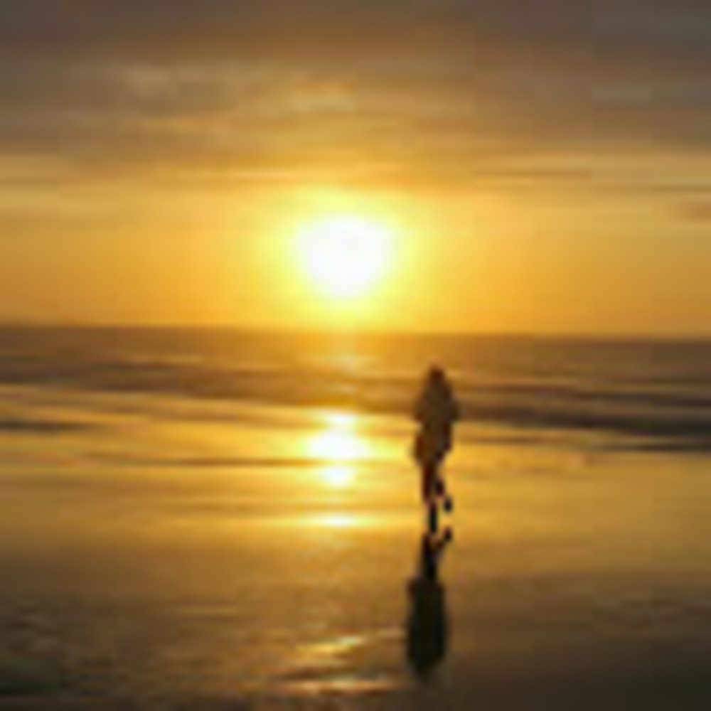 Meet your Posher, Katy